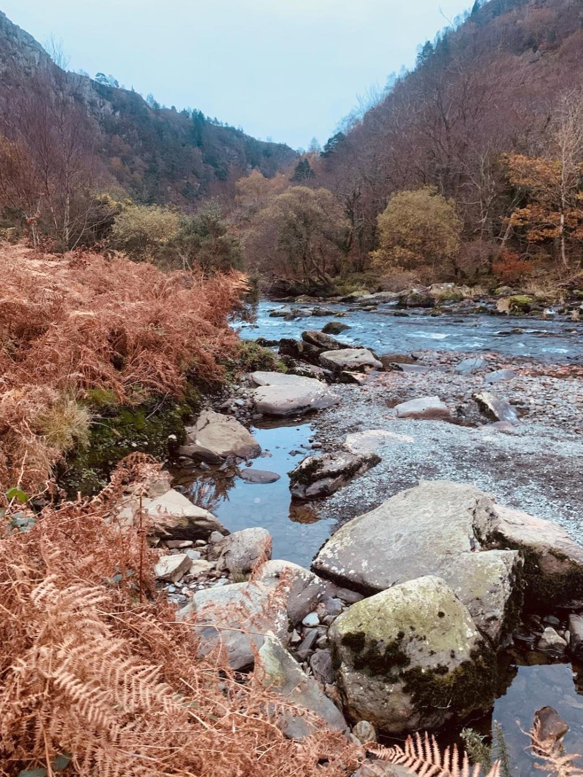 Tyn Y Simdde - Secluded Mountain Stay - Stunning Views Of Eryri Dolgellau Esterno foto