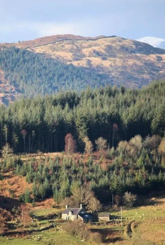 Tyn Y Simdde - Secluded Mountain Stay - Stunning Views Of Eryri Dolgellau Esterno foto