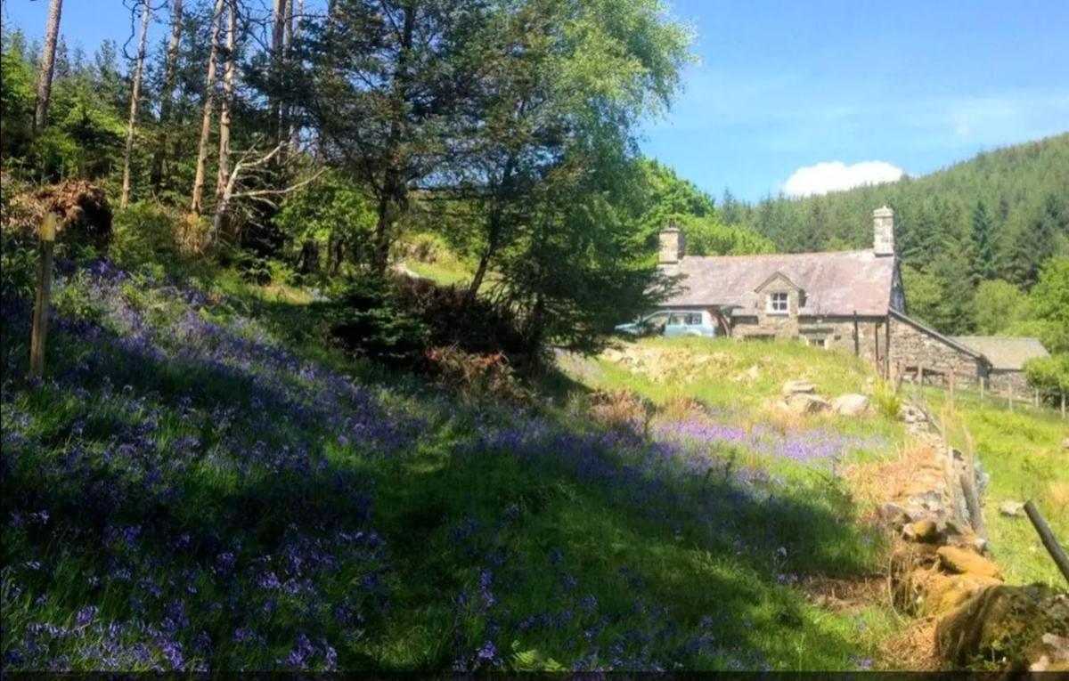 Tyn Y Simdde - Secluded Mountain Stay - Stunning Views Of Eryri Dolgellau Esterno foto