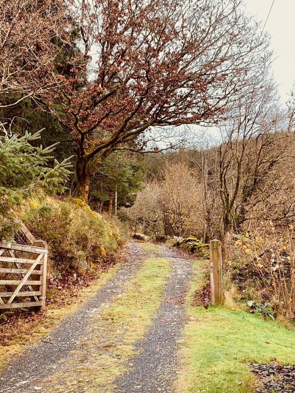 Tyn Y Simdde - Secluded Mountain Stay - Stunning Views Of Eryri Dolgellau Esterno foto